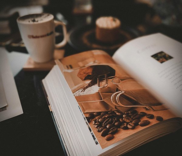 Les clés pour choisir un spécialiste aquariophilie efficace