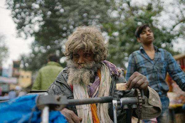 Le cycle de croissance du gazon : jour et nuit en harmonie